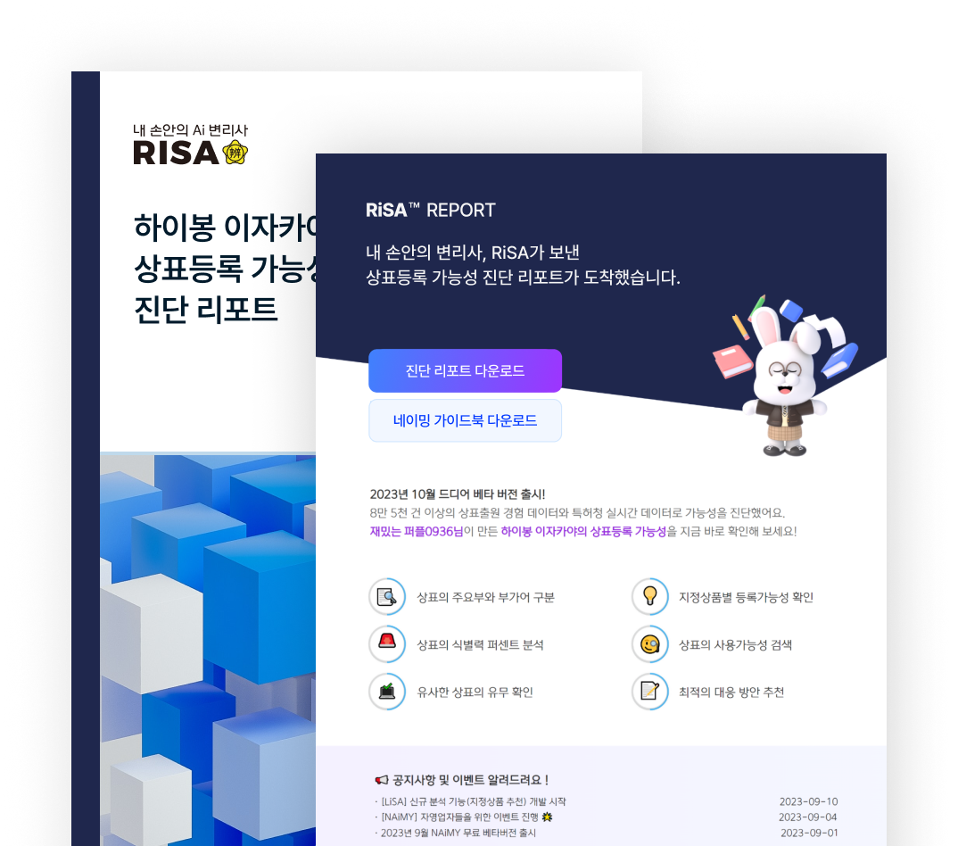 리사 리포트 이미지